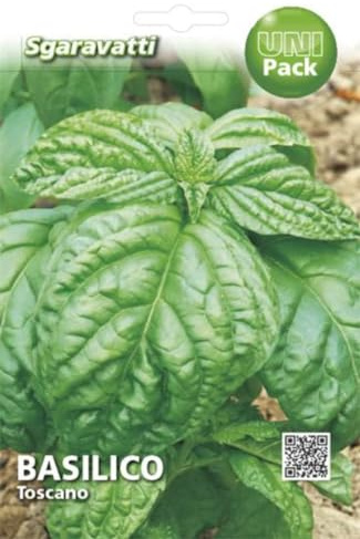 SEMI BASILICO TOSCANO SEMENTI ORTO PROFESSIONALI SEEDS BASIL SEMILLAS ALBAHACA GRAINES BASILIC SEMEN BASILIKUM