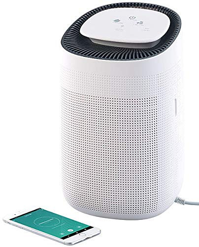 Sichler Haushaltsgeräte Luftentfeuchter Alexa: 2in1-Luftreiniger & Entfeuchter, App, für Alexa & Google Assistant (Luftentfeuchter App Steuerung, und Luftreiniger, Elektrischer)