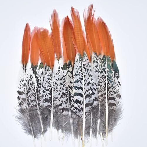 Natürliche Damenfasanenfedern Dekorationsfedern zum Basteln 5-30 cm / 2-12 Quot; Feather Top Diy Carnaval-20-25CM 8-10 Zoll, 50 Stück