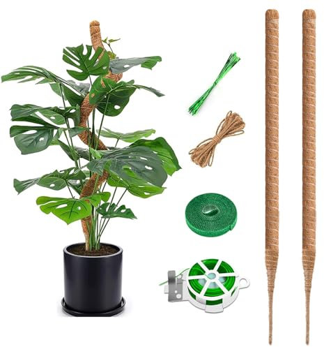 Monstera Lot de 2 tuteurs en coco flexible de 75 cm avec accessoires, bâton de mousse pour plantes grimpantes en intérieur