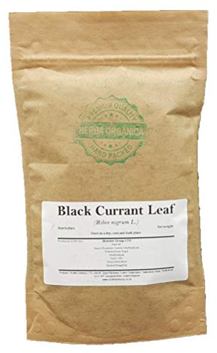 Herba Organica - Black Currant Leaf Tea - Ribes nigrum L - Herbal Tea (50g)