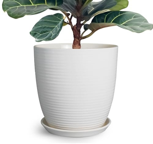 EPFamily Grand Pot de Fleurs Rond en céramique de 30,5 cm avec Trou de Drainage et Soucoupe pour Plantes d'intérieur et d'extérieur, Blanc