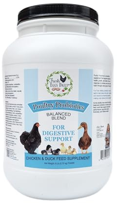 Fresh Eggs Daily Poultry Probiotics Feed Supplement – Natural Digestive & Immune Support for Chickens & Ducks – Enhances Egg Quality & Reduces Odor – 6 lb