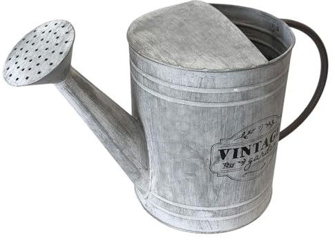 Arrosoir galvanisé - Arrosoir en zinc - Verseuse en métal - Arrosage de jardin - Vintage - 5 litres