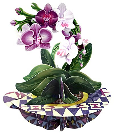 Santoro Pirouette 3D Pop Up Grußkarte - Orchidee - Geburtstagsgeschenk für sie, Mutter, Tochter, Ehefrau, Freundin | Jahrestag, Thinking of You, Dankeskarte | Blumenkarte zum Muttertag