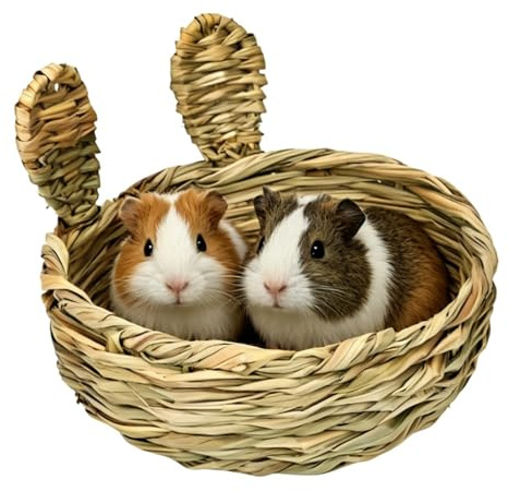 Genérico Cama De Conejos,Estera De Hierba Roer Y Anidar,Estera Heno - Adecuado Al Hábitat, Jaulas O Conejeras, Los Animales Pequeños como Hurones, Chinchillas Y Jerbos