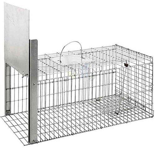 Suinga Piège Vivant Réutilisable 75x37x34 cm Piège d'animaux Cage galvanisée pour Martres,Chats,Renards,Raton Laveur