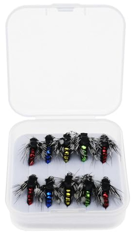 Be In Your Mind 10pcs Kit de Leurres de Pêche à la Mouche Appâts Artificiels pour Pêche à la Truite Bar Mouches Sèches Mouches Humides Banderoles Nymphes 10x15mm