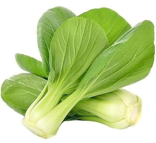 Bangladeshi Hybrid Vegetable Seeds/বাংলাদেশী উচ্চফলনশীল হাইব্রিড জাতের বীজ/High-Yield Variety (Pak Choi 50 Seeds)