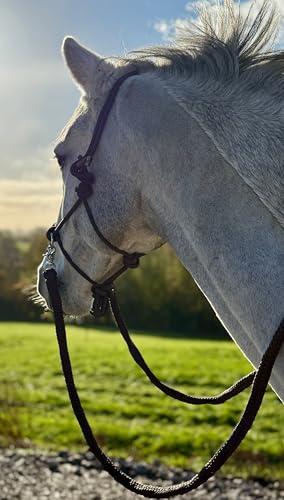 Soft Rope Halter/Bitless Sidepull Bridle with Reins - Small & Large - Black/Brown/Pink/Blue/Purple - Fit Shetland, Pony, Cob to Full Size Black / Large - Cob-Full