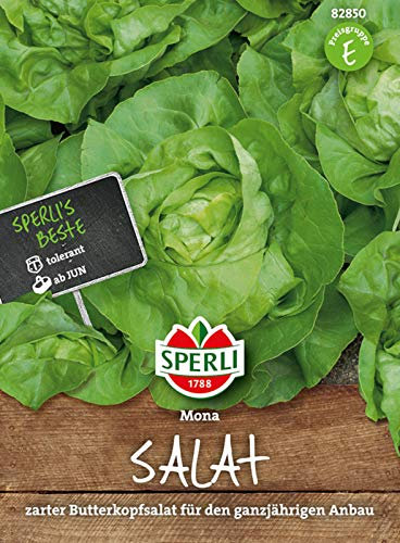 82850 Sperli Premium Kopfsalat Samen Mona | Zart | Große Köpfe | Kopfsalat Saatgut | Salat Saatgut | Butterkopfsalat Samen