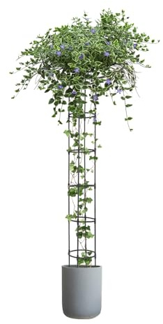 210 cm växtväxtväxtstöd, metallspaljé, för klätterväxter, väderbeständig, rankgaller, tomatbur