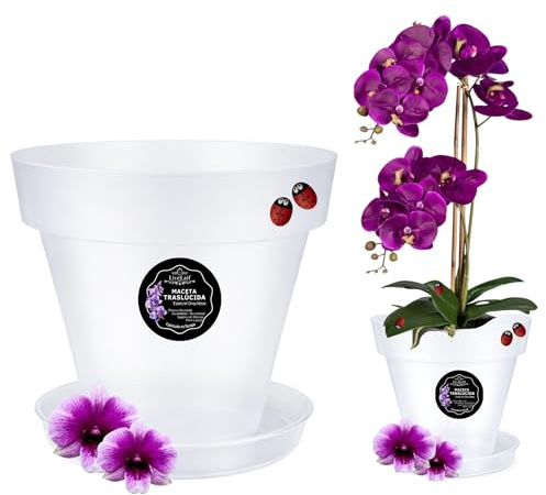 LiveLaif®-Ø15 cm Maceta Orquidea Traslúdida + Plato Maceta | Maceta Orquidea Transparente | Maceta Plastico | Macetas para Orquídeas Transparente | Macetero Orquidea (1, Ø15 cm)