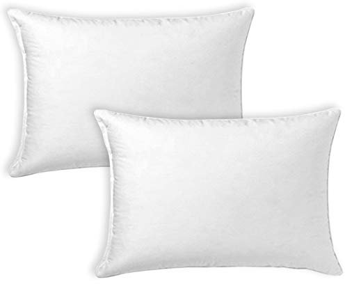 MERCURY TEXTIL- Relleno de Cojin Juego de 2/4 Unidades Super Suave Mullido, Antialergico, Fibra Hueca de Alta recuperacion, para Sofá,Cama,Coche (2 Rellenos, 30X50 cm)