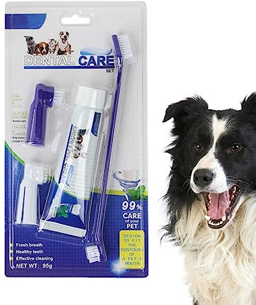 Brosse à Dents et Dentifrice Chat, dentifrice pour chiot chaton, Pet Store Hospital Shelter Kit soins des dents pour une haleine fraîche pour chiots, chatons, chiens et chats adultes Kaxenig