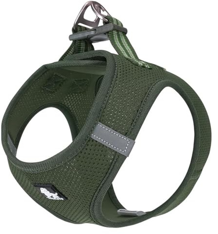 TRUE LOVE Harnais pour Chien Soft Air Mesh Gilet réfléchissant réglable pour Animaux de Compagnie pour Petites et Moyennes Races (L, Vert)