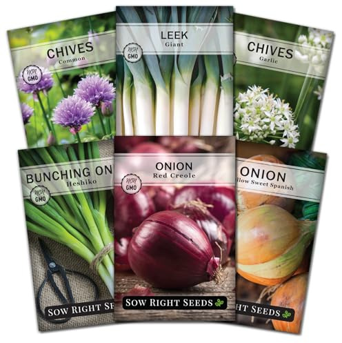 Sow Right Seeds - Onion Family Seed Collection for Planting - 6 Varieties of Chives and Onions - Hardy and Flavorful - Non-GMO Heirloom Packets with Instructions to Plant and Grow a Vegetable Garden