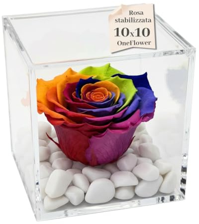 Cubo Rosa Stabilizzata Multicolor Profumata 10 cm, Rosa Rainbow Eterna Vera | Idea Regalo Natale,San Valentino Fidanzata, Amica, Compleanno, Bomboniera Laurea | Made in Italy Multicolor - 1810