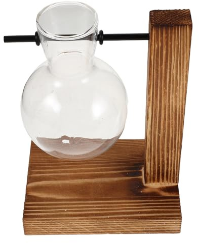 BESTonZON Stazione di Propagazione Piante in Vetro e Legno con Vaso a Bulbo Trasparente per Decorazione da Scrivania in Spazi Interni Ufficio Casa