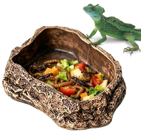 Bebedero De Reptiles Multiusos Estilo Roca