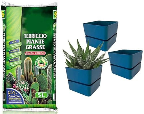 VIRSUS Kit Sacca Terriccio Piante Grasse 072 da 5LT + 3 Vasi quadrati con sottovaso 310 misura 12x11cm, Terriccio elevata capacità drenante, vaso per interno ed esterno per piante grasse (Denim)