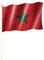 Stockflagge/Stockfahne MAROKKO Flagge/Fahne ca. 30 x 45 cm mit ca. 60cm Stab/Stock