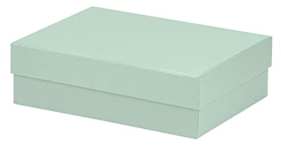 Rössler Papier 13401453653 - Scatola di cartone rettangolare Boxline, 196 x 264 x 80 mm, menta, 1 pezzo