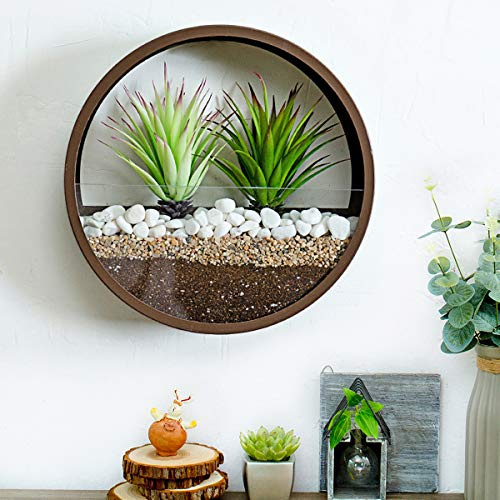Pot de fleurs rond à suspendre, vase mural, Pot de fleur mural 2 en 1, Terrarium en verre et Vase mural rond en métal, support de plante à Air, conteneur Vertical, décoration intérieure(Bronze)