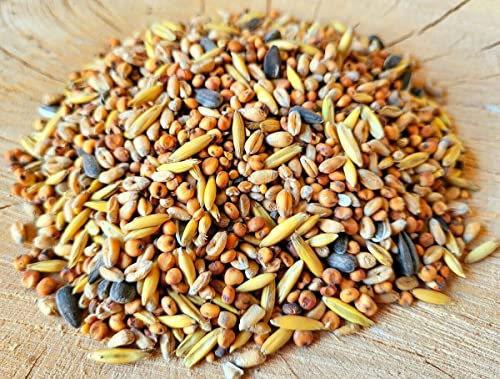 Futterbauer 25kg Winterstreufutter für Vögel, Premium Wildvogelfutter für den Winter, Energiereiches Streufutter für Wildvögel