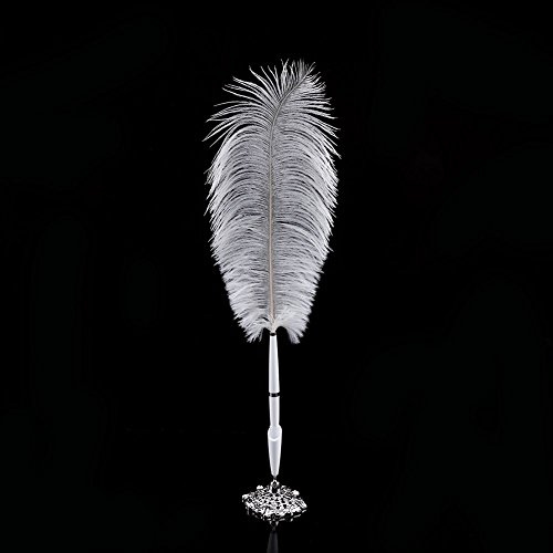 Tiiyee BolíGrafo De Plumas, Regalos Plumas Avestruz Conjunto CaligrafíA Firma Elegante para Principiantes Suministros Oficina Bodas Halloween Base Plata Escritura Escolar