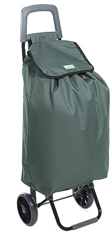 Rainberg Chariot de Courses léger à 2 Roues, 50 litres, résistant et Pliable, Tendance, Chariots Pliables à Pousser/Tirer pour Un Rangement Facile (Gris)