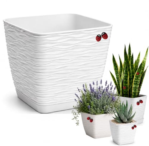 LiveLaif®- Macetas Decorativas Interior Cuadrada | Macetero Moderno con Plato Integrado | Macetas plastico, Tiestos para Plantas Interior y Exterior | Resistente y Robusta (Blanca, Ø15 cm)