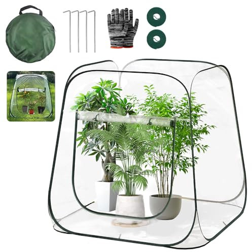 Tente de protection des plantes pop-up d'hiver, petite serre pour plantes, mini serre pour balcon, petite tente d'hiver pour protéger les plantes et les fleurs, 100 x 100 x 97 cm