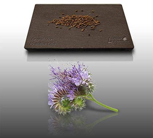 75 grammes de graines à semer - Le Grenier d'Abondance - ENGRAIS Vert - Phacelie Lilla