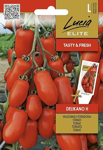 Lucia Elite | Pomodoro - DELIKANO H Sementi per orto | Piccoli pomodori cocktail allungati | Dolci resistenti | Per balcone serra giardino | Semi di pomodoro | 1 bustina