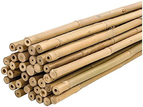 PLANTAWA - Tuteurs en Bambou 120 cm Lot de 25 Pièces Ø 12-14 mm | Tuteur pour Plante Potagères et Tomates | Tuteurs en Bambou Solides de Différentes Tailles