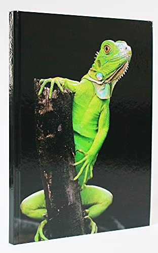 ADINA Kladde Notizbuch A4 blanko 96 Blatt mit festem Deckel starkes Papier 80g/qm (Leguan, 1 Stück)