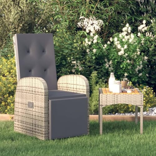 HaoChrymec Fauteuil de Jardin Inclinable, Chaise Extérieur avec Coussin en Polyrotin, Structure Acier Thermolaqué, Réglable Multi-Positions, pour Terrasse et Jardin, Couleur Gris, 57 x 133 x 106 cm