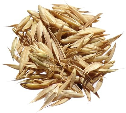 Dactyle Aggloméré - Dactylis Glomerata (Engrais Vert) SEM05 (100, Grammes)