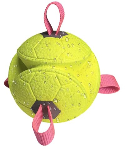 Apportierbälle Für Hunde - Zahnreinigungsspielzeug Mit Seil | Hundebälle Für Aggressive Kauer | Interaktiva Kauspielzeug, Robustes ETPU-material, Fü Welpen & Erwachsene Hunde, inomhus- och utomhustrai