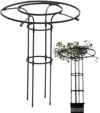 Supporto da giardino in metallo, resistente alle intemperie, per piante rampicanti, fiori, rose e pomodori, robusto supporto per piante obelisco per giardino, esterni e aiuole, dimensioni a scelta
