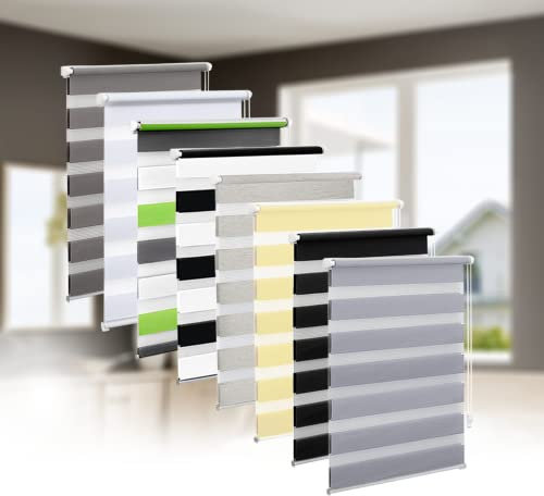 Eurohome Doppelrollo Klemmfix ohne Bohren, Duo Rollo,45cm x 130cm (Stoffbreite 41 cm) Hellgrau Transparentes und undurchsichtiges Sichtschutz Rollo mit Klemmträgern für Fenster und Türen