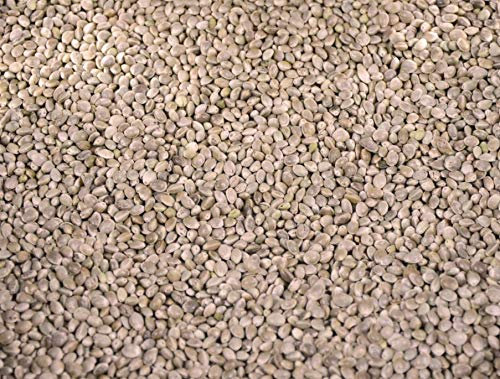 Milokorn, Dari Einzelfuttermittel weiß | 25 kg für Vögel und Nager