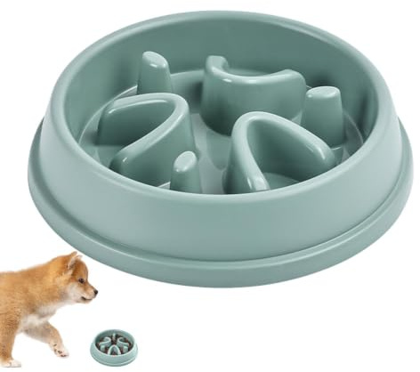 Gamelles pour Chien à Alimentation Lente, gamelles pour Chien à | Bol d'alimentation lente anti-avalement pour