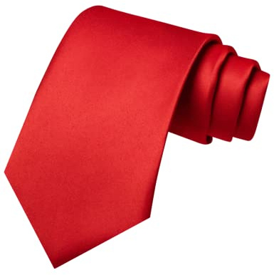 JEMYGINS Red Tie Silk Necktie for Men Business and Wedding