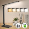 TOPPLEE Schreibtischlampe LED Dimmbar - Tischlampe Kabellose mit 2000 mAh Wiederaufladbarem Akku, 5 Farben und 10 Helligkeitsstufen, USB Ladeanschluss, Bürolampe für Kinder Büro, Schwarz