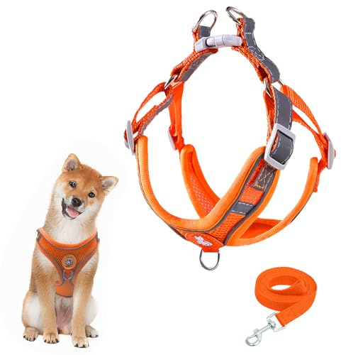 Harnais pour chien avec laisse - Harnais de poitrine respirant en maille respirante pour chiens de petite, moyenne taille et chiots - Rembourré et doux - Réglable - Harnais réfléchissant - Orange