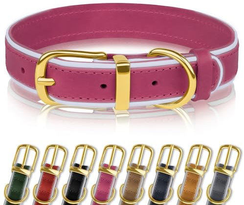 OOPSDOGGY Reflective Geniune Leather Dog Collar Soft Padded Collars for Small Medium Large Breed Dogs Puppy, 4 Sizes, 8 Colors (Pink, 9-12)