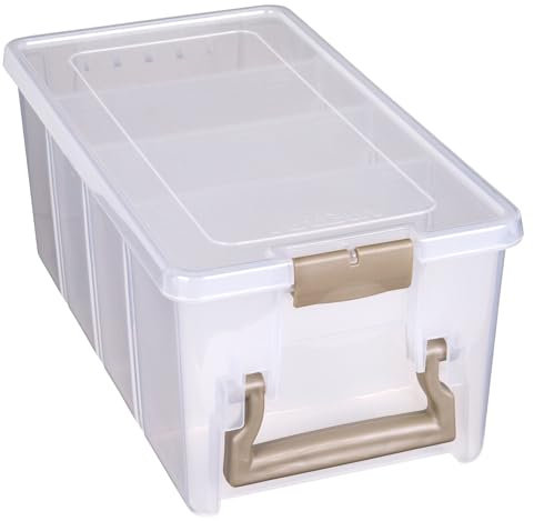 ArtBin 6925AB Semi Satchel with 3 Removable Dividers, Portable Art & Craft Organizer with Handle, [1] Plastic Storage Case, Clear, Gold, 0