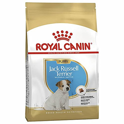 Royal Canin Jack Russel Terrier Puppy | 1,5 kg | Trockenfutter für Jack Russel Terrier Welpen bis zum 10. Monat | Zur Unterstützung des Immunsystems | Schönes Fell und gute Zähne